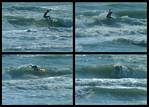 (06) SPI Sat Surfing.jpg    (1000x720)    352 KB                              click to see enlarged picture